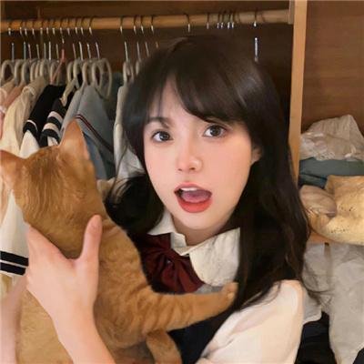 遇见波士顿布莱奇