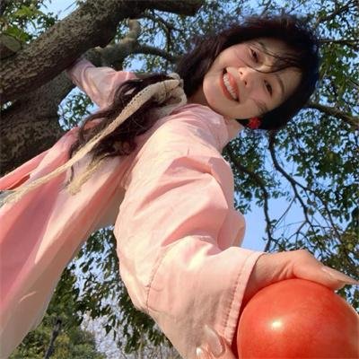 挪威的抵抗